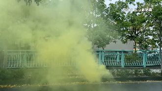 百年鳳凰木成拍照點　攝影師「噴煙」遭批