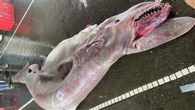 台灣海洋藝術館臉書