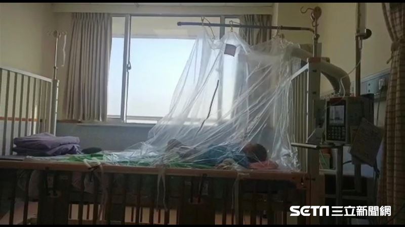 獨／幫移工救命危兒　台灣醫暖回：應該的
