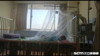 獨／幫移工救命危兒　台灣醫暖回：應該的