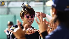 ▲王威晨。（圖／取自中信兄弟FB）