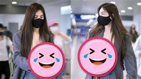 Ella,蓮花,粉絲,浪姐4