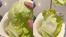 海底撈點半份生菜！送來「只有2片」她傻眼　網酸爆：這菜開過光？（圖／翻攝自微博）