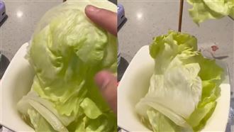 愛吃生菜包肉！她腸道夾出「20公分活蟲」