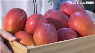 愛文芒果進軍日本　市府攜手店家推甜點