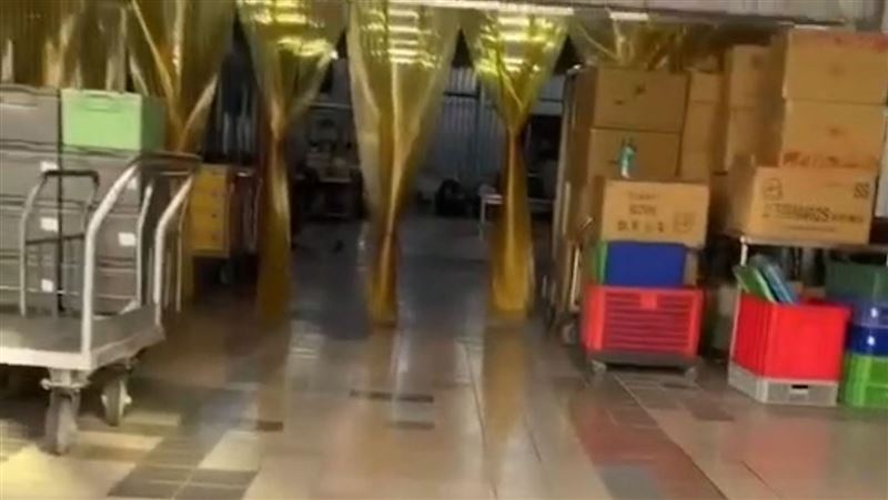 高雄團膳廚房鼠輩橫行？業者：早停工半年