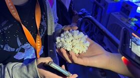 海生館舉辦兒童夏日營隊，參訪鮮為人知海角秘境。（圖／海生館提供）