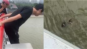 跳12米高大橋救人！外送員「獲贈1套房產」還賺80萬元獎勵金（圖／翻攝自微博）