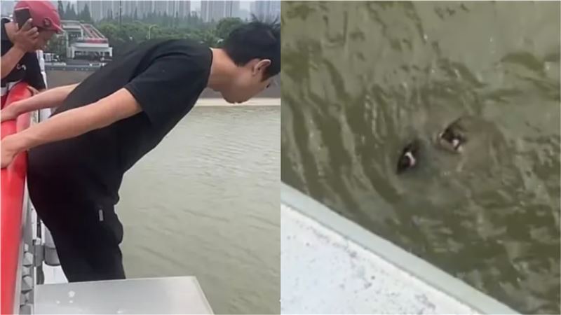 外送員跳橋救人！獲贈1套房產+80萬獎勵金