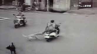 衰！騎士無端被狗咬　小腿「血肉模糊」