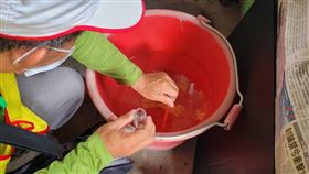 0618登革熱(台南衛生局提供)