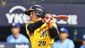 張仁瑋臨危受命上陣接替王威晨，生涯首安、首打點、首得分都出爐。（圖／中信兄弟提供）