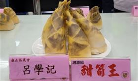 桃園綠竹筍盛產 鮮嫩清爽展現筍農種植實力，圖／桃園電子報