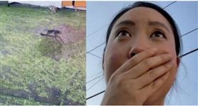 一分錢一分貨！正妹買人工草皮被曬到融化（圖／翻攝自抖音）