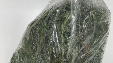 驚呆！一款迷迭香同時驗出28款農藥
