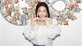 蔡依林（圖／翻攝自蔡依林IG）