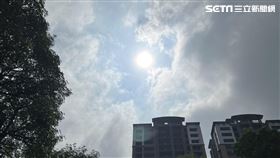 高雄，四維路，大太陽，撐陽傘，晴天 (圖／記者林昱孜拍攝)