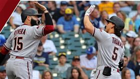 ▲亞利桑那納響尾蛇。（圖／取自亞利桑那響尾蛇FB）