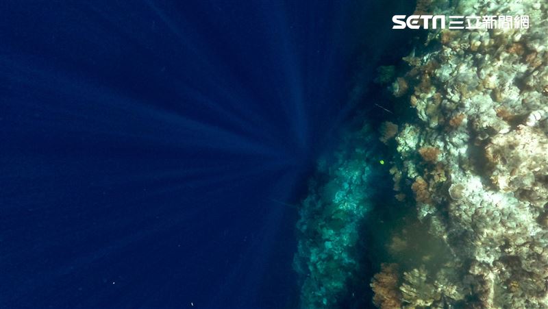 漆黑海底撈「黑水鬼」　全面結晶竟還在動