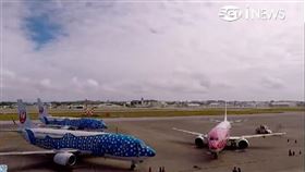 鯨鯊彩繪機來台！越洋航空JTA包機飛沖繩桃園