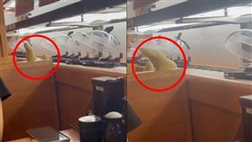 迴轉壽司,軌道,腳,衛生局(翻攝自 爆料公社)