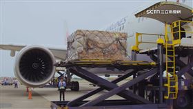 花1萬網購除毛機! 違反醫療法處3萬罰緩