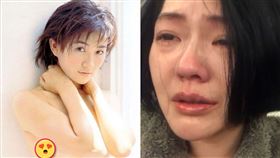 陳純甄,柯雅馨,葛斯齊,小S,吸毒,撞球