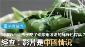 社群平台日前有一支影片流傳，指涉「小孩吃了粽子就送醫不治，因鮮綠色粽葉是用硫酸銅浸泡」。（圖／翻攝自查核中心）