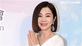 台灣優質生命協會新任理事長陳美鳳。（圖/記者邱榮吉攝影）