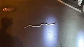 龜殼花,屏東,住宅區