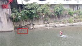 新北,烏來橋,墜溪,骨折,