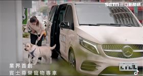 台中最懂飼主寵物旅館開幕　首創賓士接送（圖／翻攝畫面）