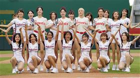 ▲LOTTE GIRL與樂天女孩一起表演開場舞蹈（圖／樂天桃猿球團提供）
