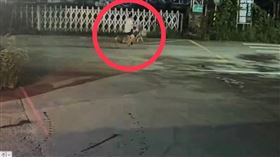 新北市一名女子（30多歲）日前騎腳踏車外出運動，她行經新店堤外自行車道時，突然驚見一名陌生男子全身赤裸，且對著她自瀆、性騷擾，女子受到驚嚇怒持手機蒐證，該男隨即騎車逃離，被害女子事後報警提告，警方正循線查緝中。