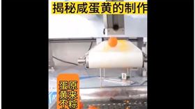 ▲粽子裡的鹹蛋黃不是真雞蛋？網路社群上流傳的加工鹹蛋黃影片。（圖／翻攝自事實查核中心官網）