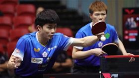 ▲台灣桌球好手林昀儒、陳思羽。（資料圖／翻攝自WTT官網）