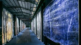 ▲創下在台進口單價最高石材公主藍寶石（圖／M Museo慕尚提供）