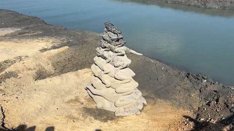 慘了？日月潭9蛙全探頭　台電：免擔心