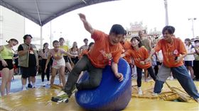 胡瓜玩巨型立蛋失控了。（圖／民視提供）