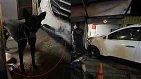 新北市，汐止，毀損，傷害，紅貴賓