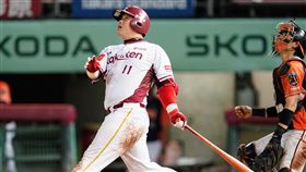 ▲樂天林泓育單場4安打（圖／樂天桃猿球團提供）