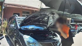 基隆,小貓,基金一路,受困,喵星人,