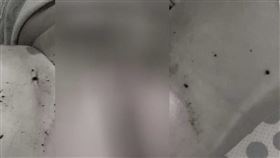 文化流氓,大學,副教授,公托,白喬茵,臺灣兒童及少年福利促進學會,台南,應用科大,乾便便,皮膚,紅腫,理事長,已離職,委辦契約