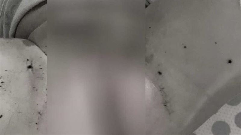 公托傳不當照護…包6理事長嗆：藍綠都熟