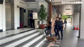 新北市,板橋,新北市政府,潑漆,睡不著,撒冥紙