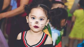 ▲12生肖的智商排行榜中，這「4生肖」排前4名，快來瞧瞧！（示意圖／翻攝自pixabay）