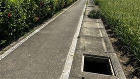 水溝蓋,楊梅,偷（圖／翻攝畫面）