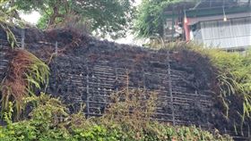 新北市，淡水，淡江大學，動保處，火攻，蜂巢