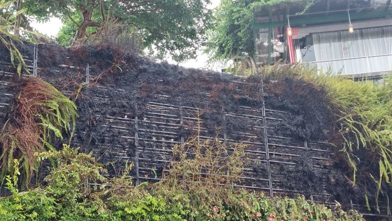 動保處火攻蜂巢！意外讓淡江大學起火了