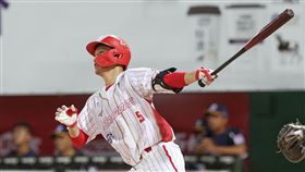 ▲林辰勳雙響砲。（圖／味全龍球團提供）